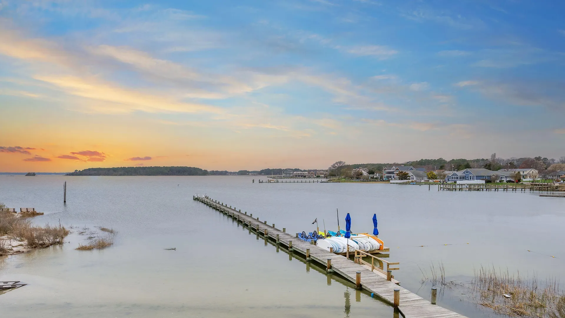 5 Cheap Hotels Near Jungle Jim's Worth Booking